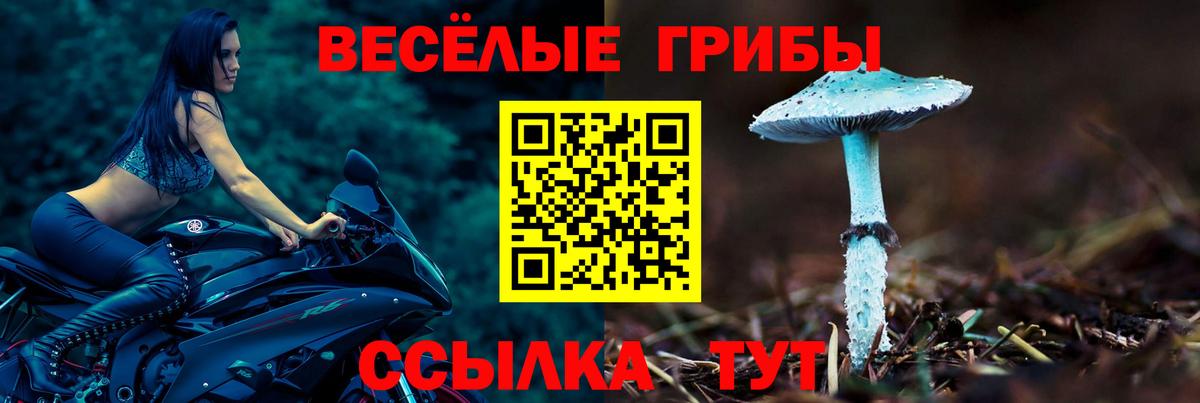 Галлюциногенные грибы Cubensis Гусиноозёрск